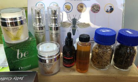 Chiang Mai University is developing an oil extracted from black soldier flies to create cosmetic enhancements, to promote communal career advancement, and extend the industrial business.