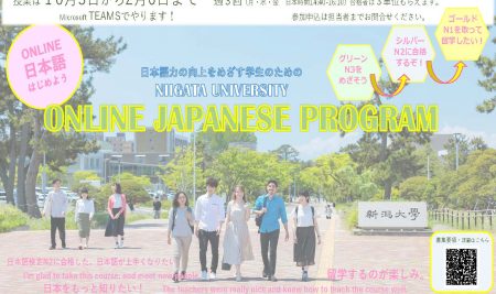 Online Japanese Program