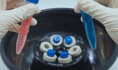 Bachelor of Science Program in Food Science and Technology (FST)