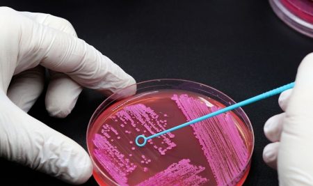 Doctor of Philosophy Program in Applied Microbiology