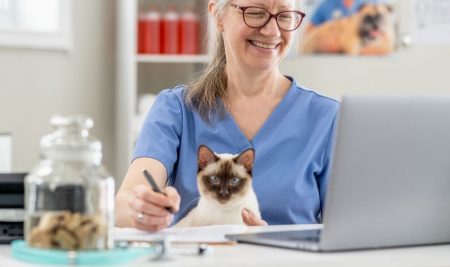 Doctor of Philosophy Program in Veterinary Science